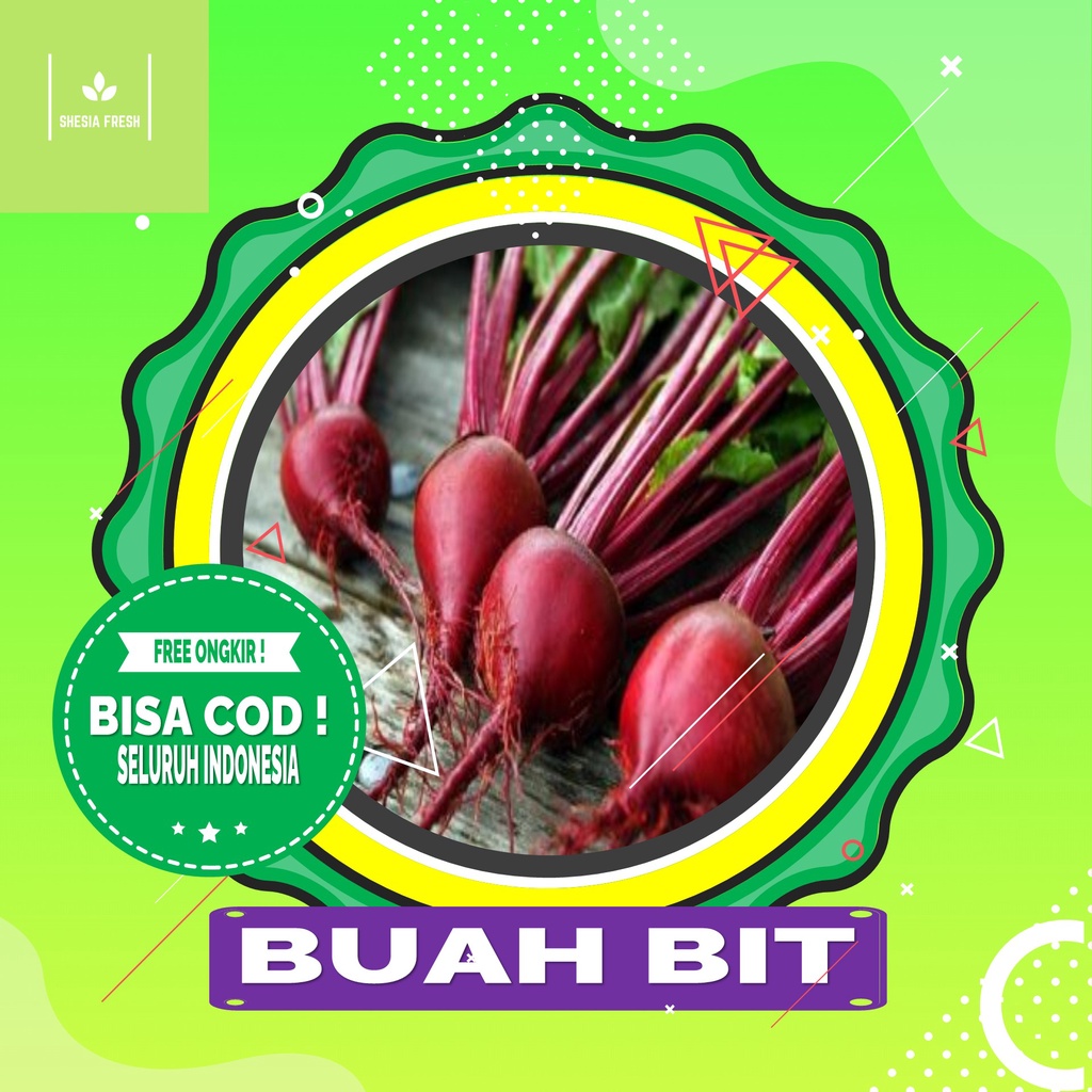 

Shesia Fresh - Buah Bit Organik 250 gram