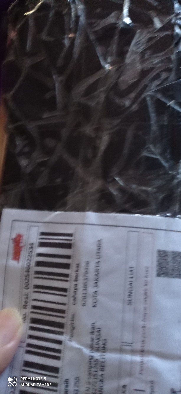 Slot Jendela / Slot Kodok Murah