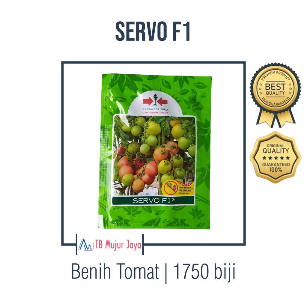 Stok Baru Benih Tomat SERVO F1 ORIGINAL Cap Panah Merah 1750 biji