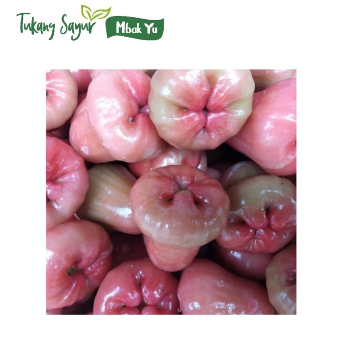 

jambu air segar 500gr