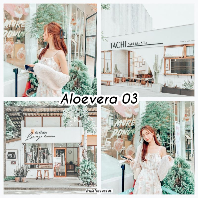 5 PRESET LIGHTROOM MINIPACK ALOEVERA SERIES For IOS &amp; Android