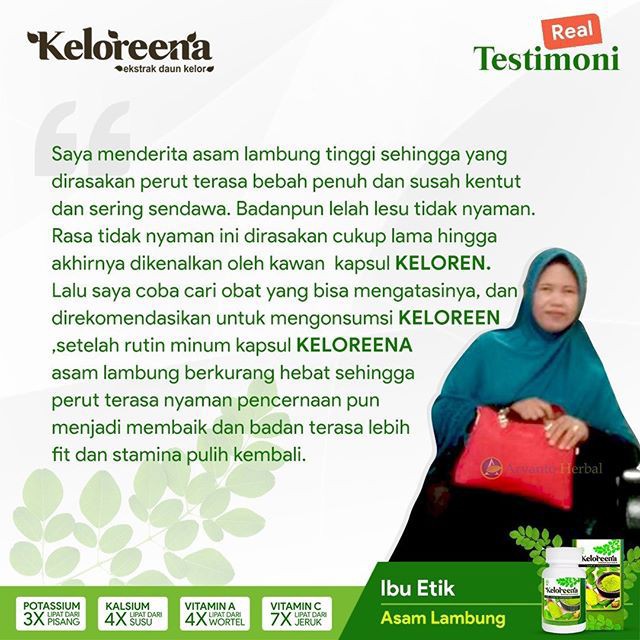 Obat Asam Lambung dan Tipes / Sesak Nafas / Vertigo Herbal Alami Keloreena 50 Kapsul Daun Kelor Asli BPOM