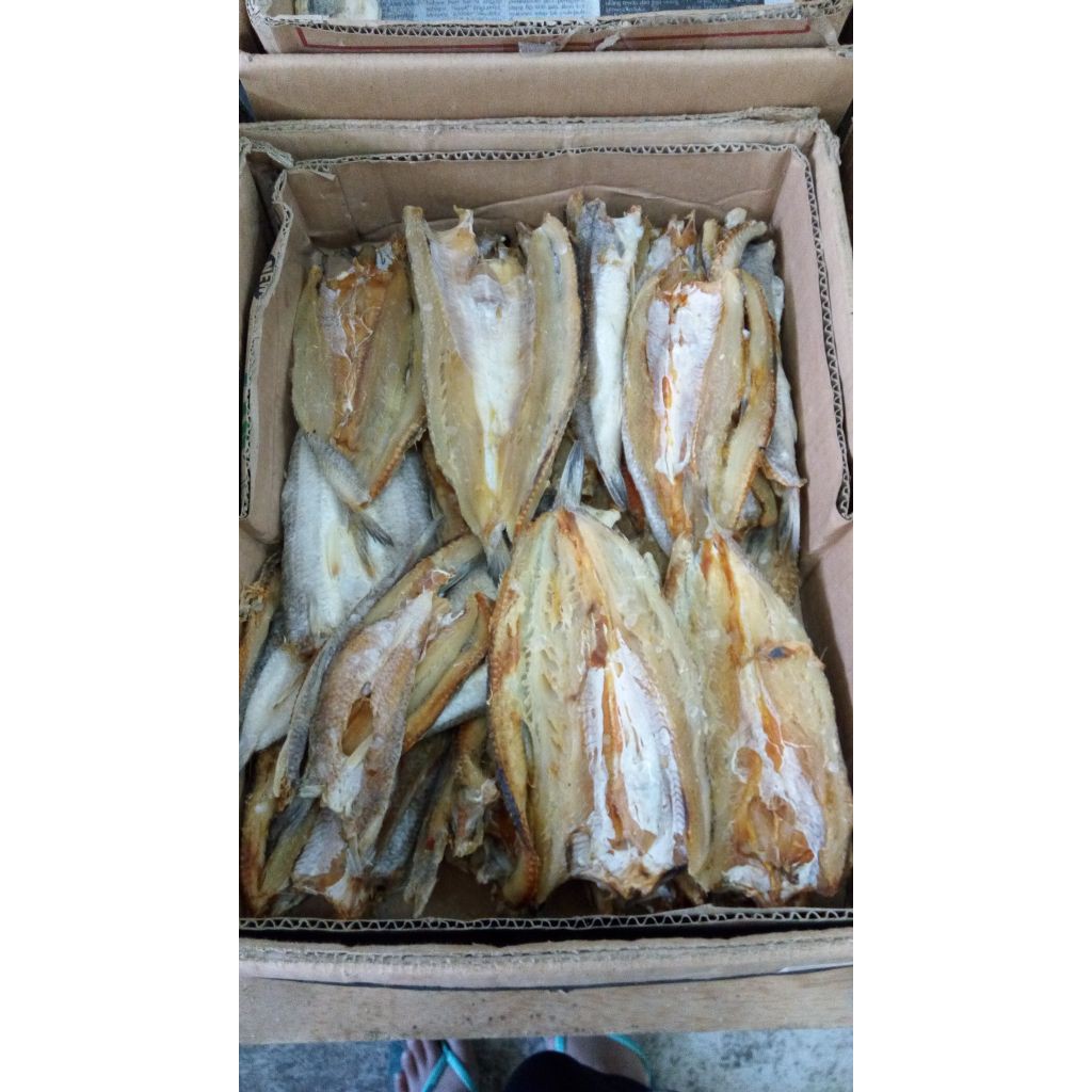 

Ikan Asin Bloso 1 Kg