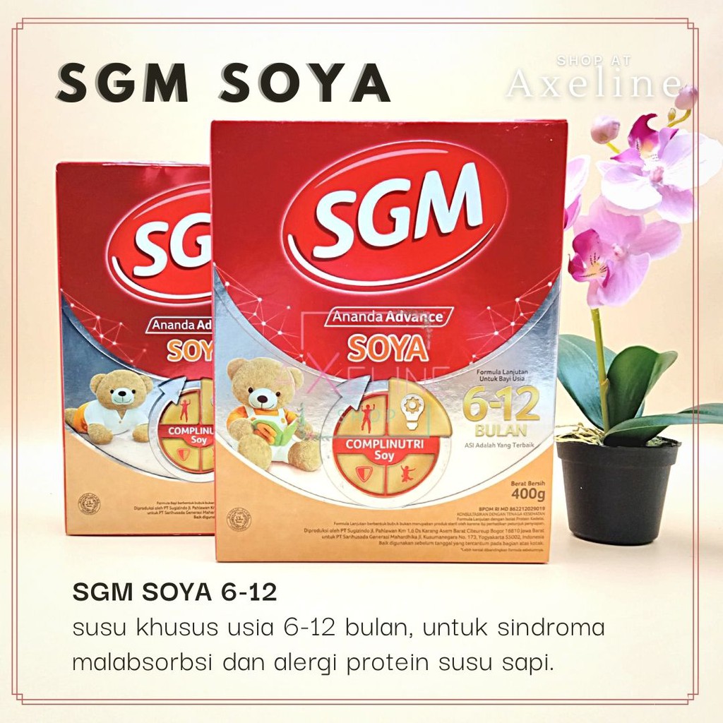 Susu Bayi Sgm Ananda Soya 6 12 Bulan Formula Bayi Alergi Susu Sapi 400gr Shopee Indonesia