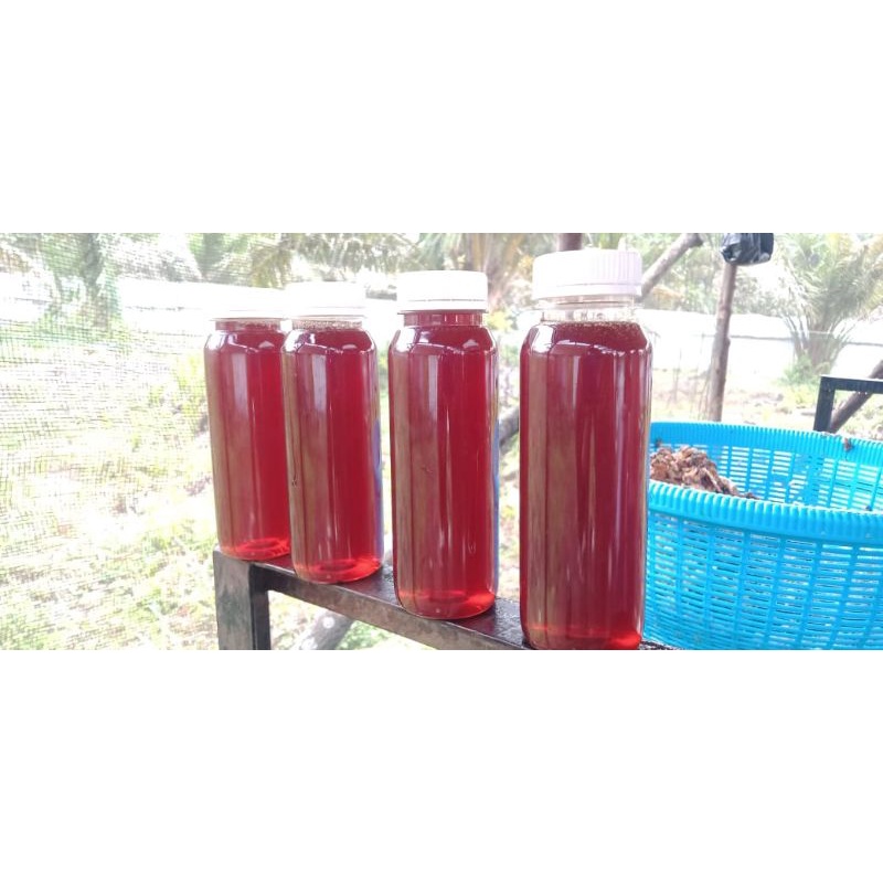 

madu akasia crasiscarpa 1kg 45 rbu