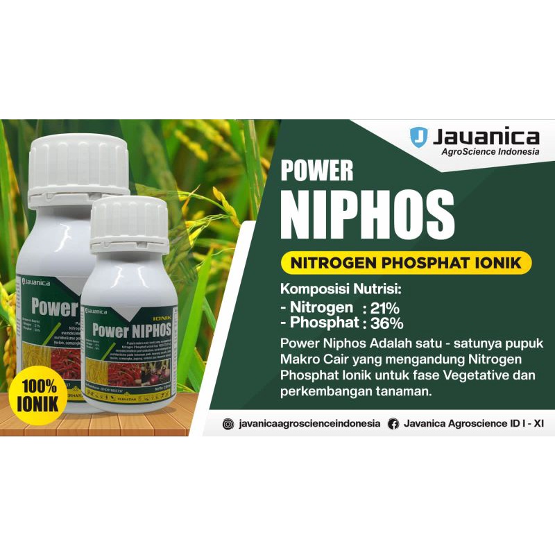 POWER NIPHOS nutrisi perangsang pertumbuhan dan bunga
