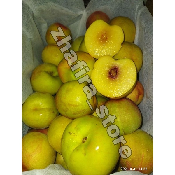 

! KOSONG! Buah Peach Import Fresh 500gr (tanpa bulu)