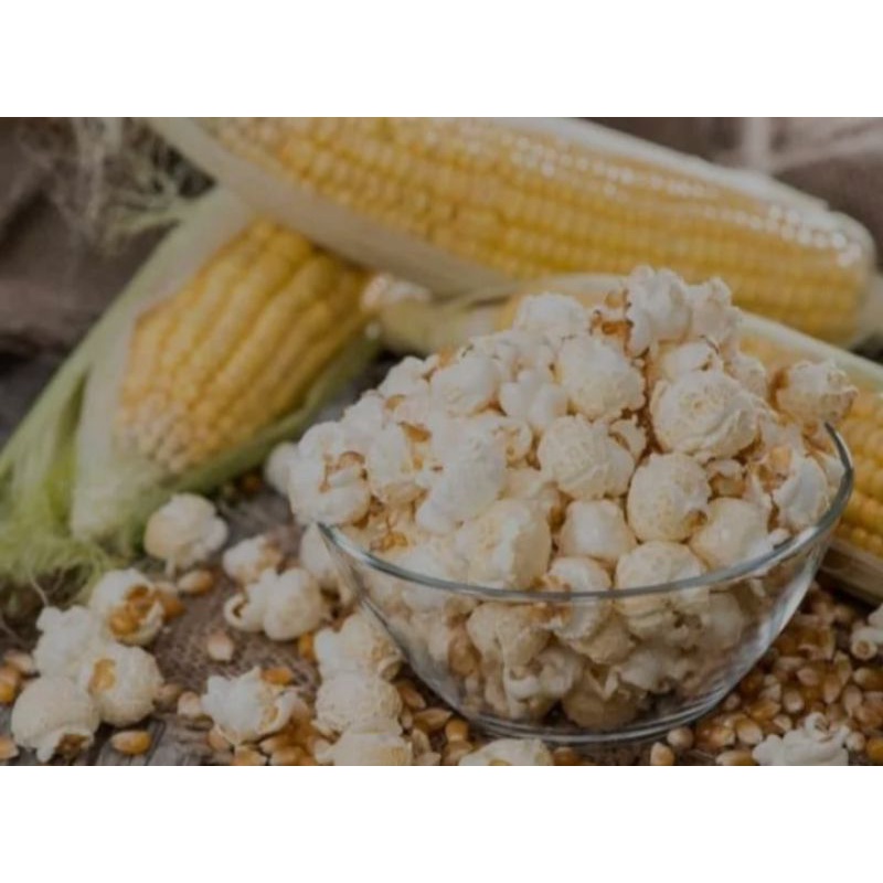 

jagung popcorn mentah/popcorn super/jagung mentah