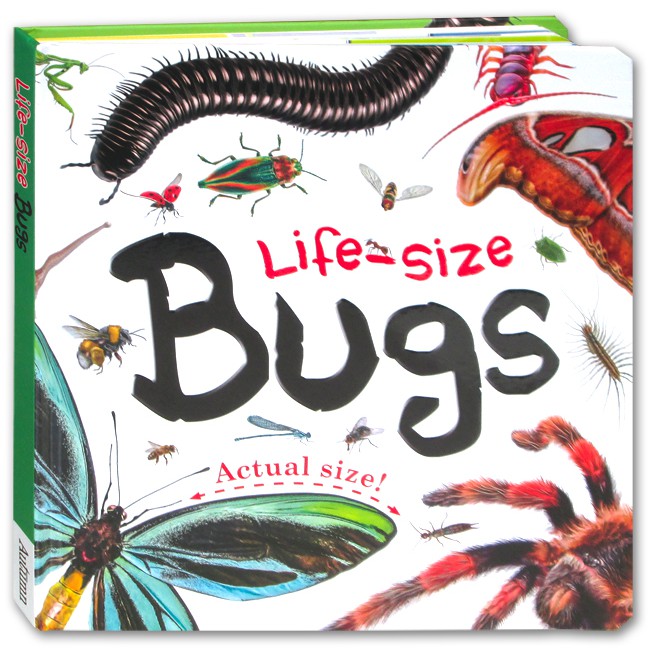 Life-Size Bugs Board Book (Actual Size)