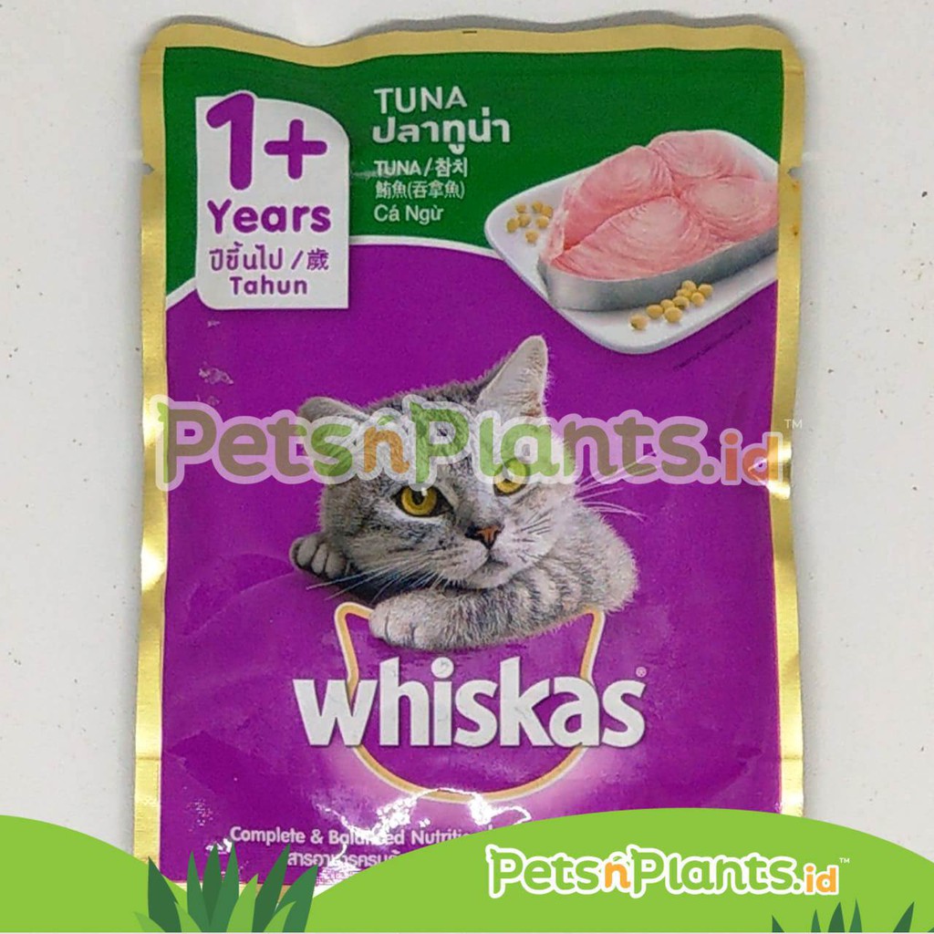 Whiskas Adult 1+ Atau Junior Makanan Kucing Cat Food Pouch Basah Tuna 80 Gram