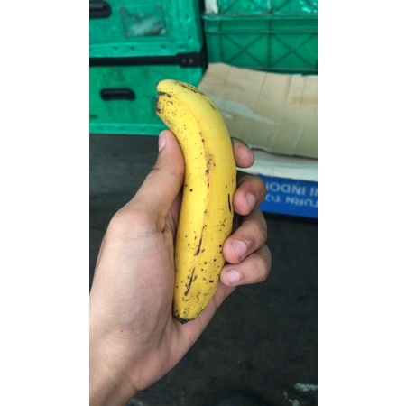 

pisang