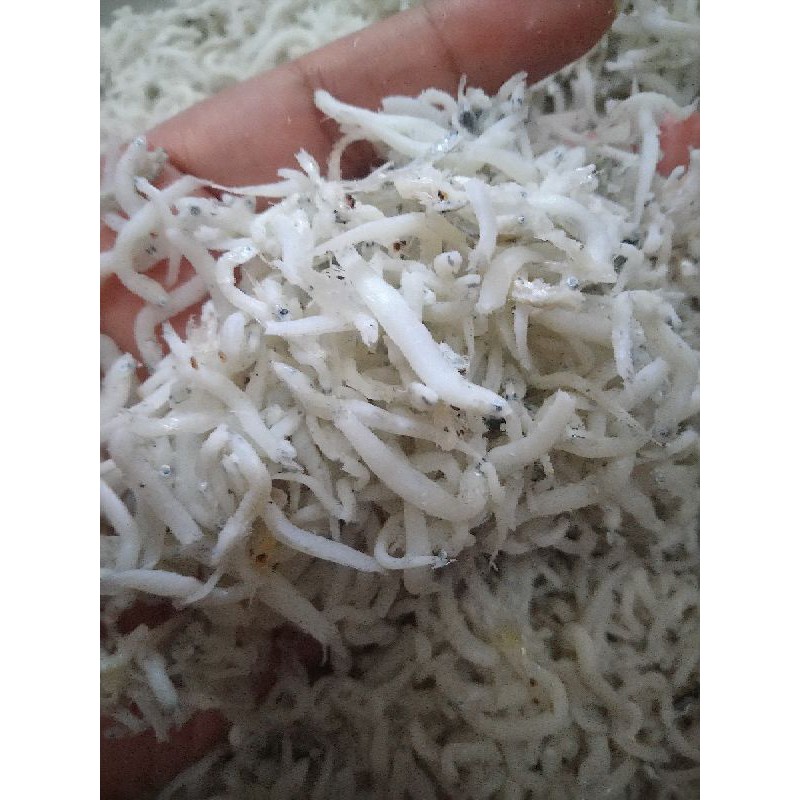 

Teri Medan Asli 100gr 250gr 500gr