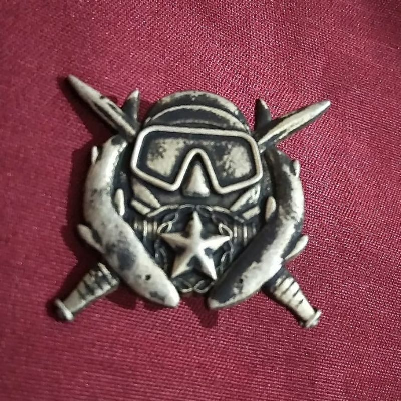US Army Badge & Insignia. ( US Navy Combat Diver ) Rare