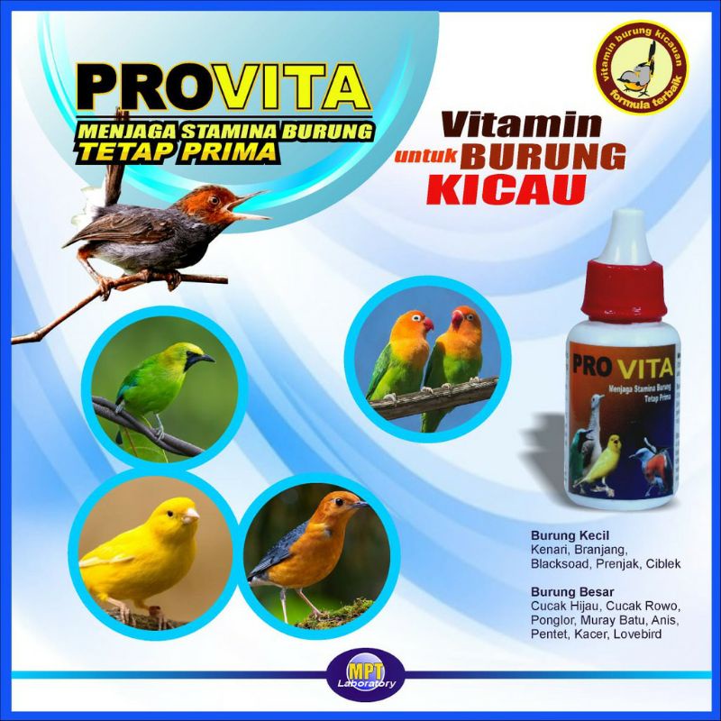 VITAMIN BURUNG PRO VITA Vitamin C dan B Kompleks Menjaga Stamina Burung Tetap Prima & Meningkatkan N