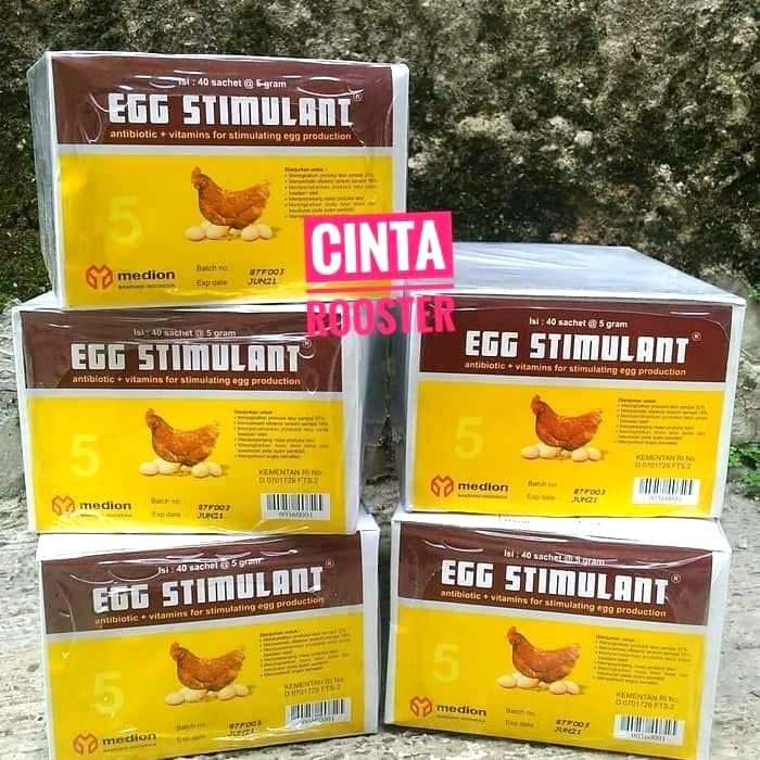 Ayam-Vitamin-Obat- Egg Stimulan Vitamin Ayam Bertelur -Obat-Vitamin-Ayam.