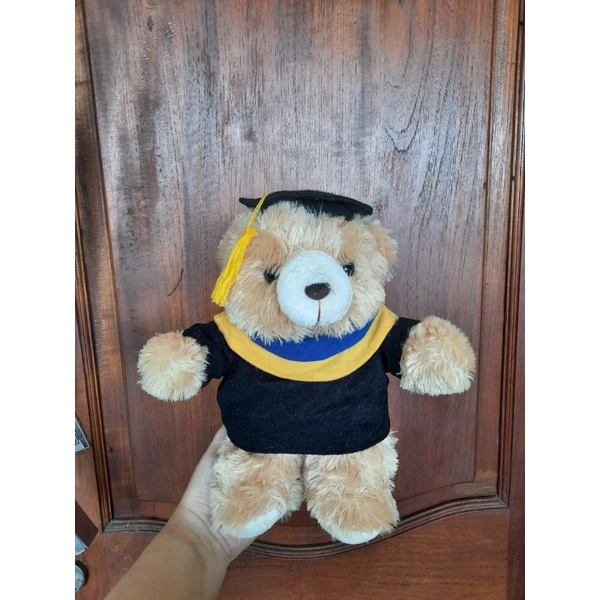 BONEKA BERUANG WISUDA 25cm LAMPU MIKA 25x25x15