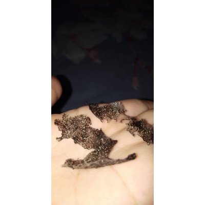 MASKER KOMEDO EZA BEAUTY