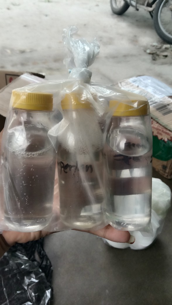 Bkc Antiseftik / Anti Bakteri Kemasan 100 Ml | Sb Pemula
