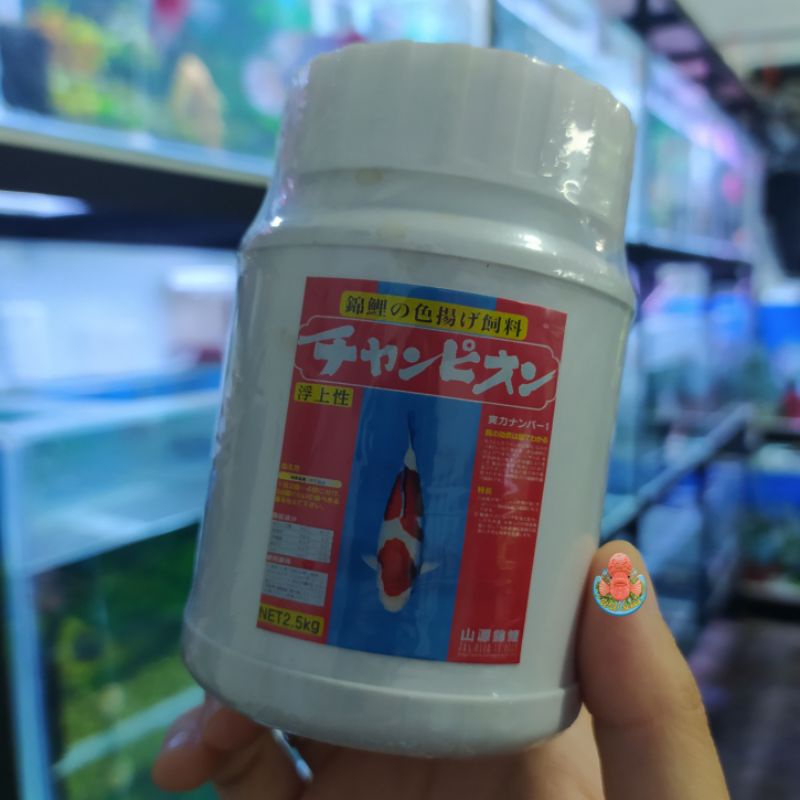 Pellet Champion 100gram - Original Import Jepang Pelet Premium Top Grade Koi Louhan Mas Koki Goldfish Pakan Ikan Berkualitas Makanan