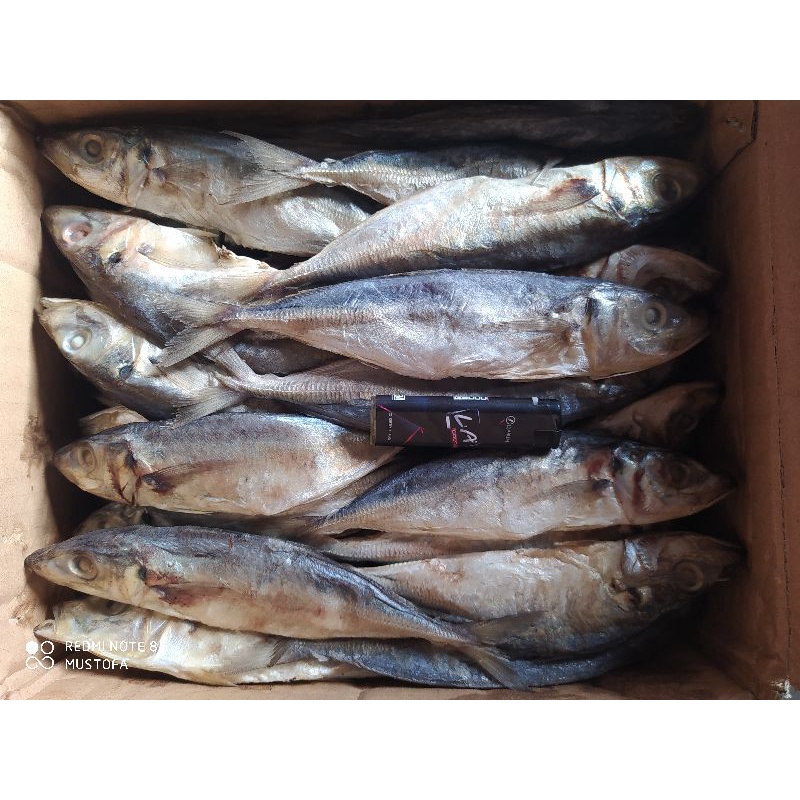 

ikan layang kering