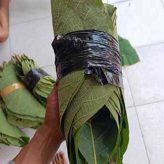 

Daun Jati Segar Langsung Petik Bungkus Daging Qurban