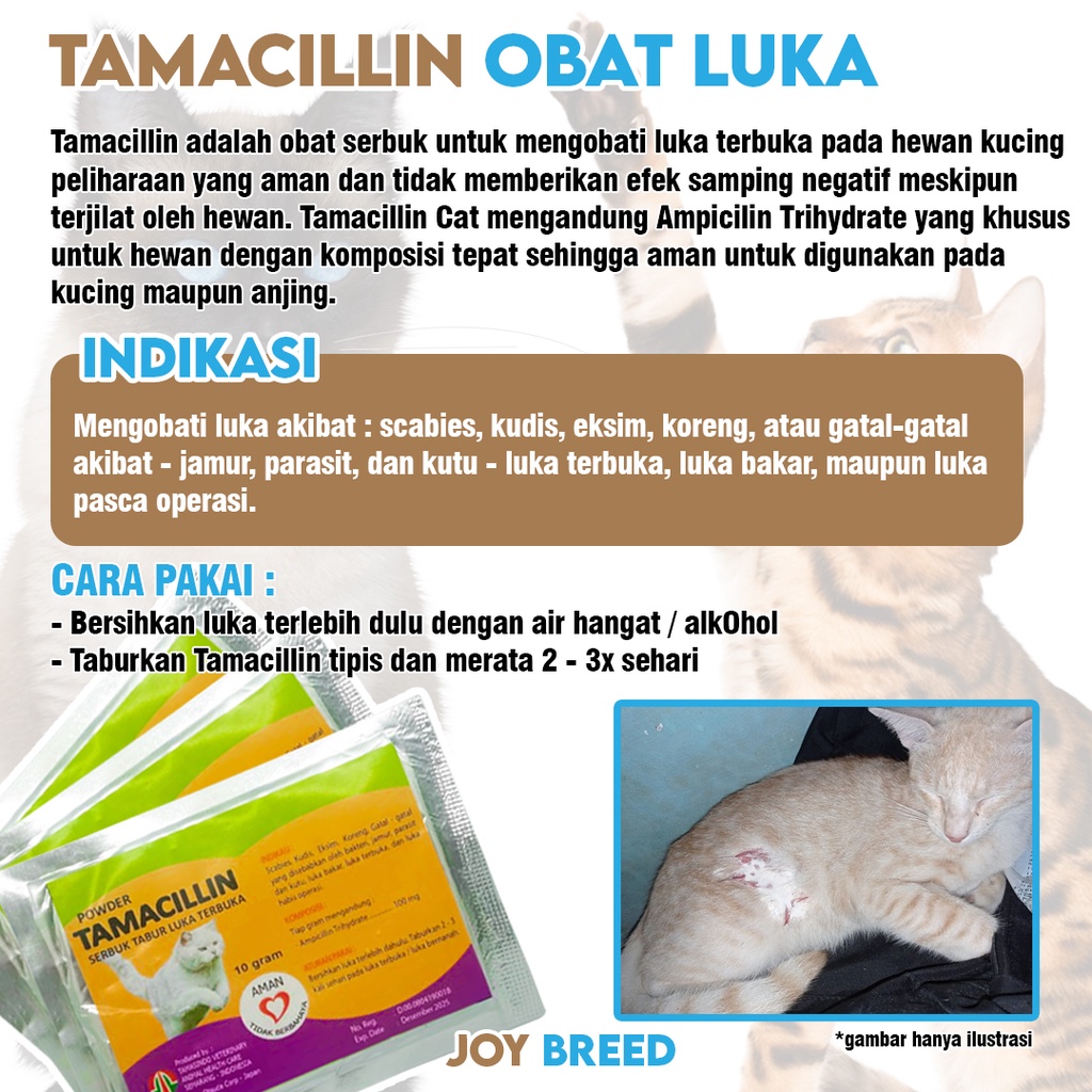 OBAT KULIT KUCING TAMACILIN OBAT LUKA KUCING TABUR ANTI INFEKSI KULIT | JOY BREED OFFICIAL