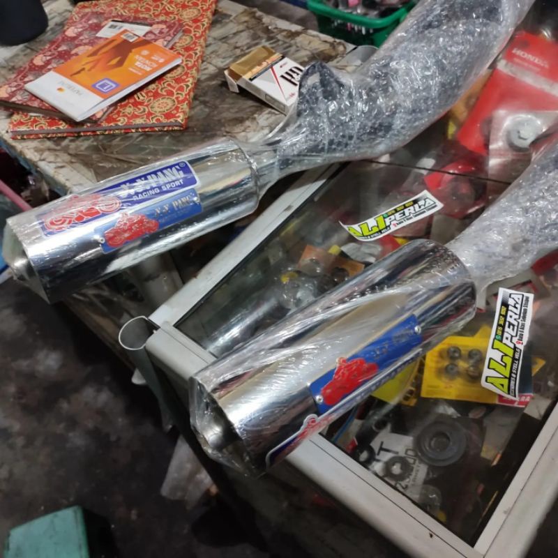 Knalpot Original Standar Rancing F1ZR
