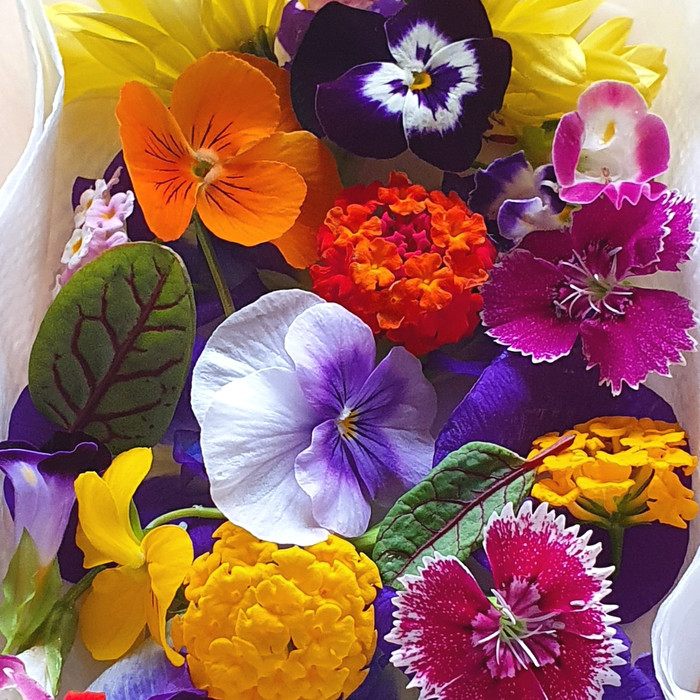 

Stock Terbatas..!!! Mix Edible Flower Fresh Flowers Bunga Topping Makanan (10 Gram)