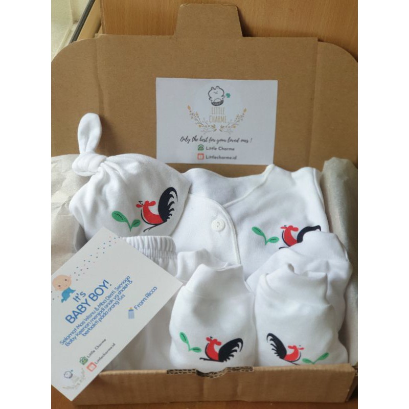HAMPERS ANAK BAYI | HAMPERS BAYI | HAMPERS ANAK | HAMPERS BABY | KADO LAHIRAN | NEWBORN GIFT SET | BAJU SET ANAK - LITTLE CHARME-4