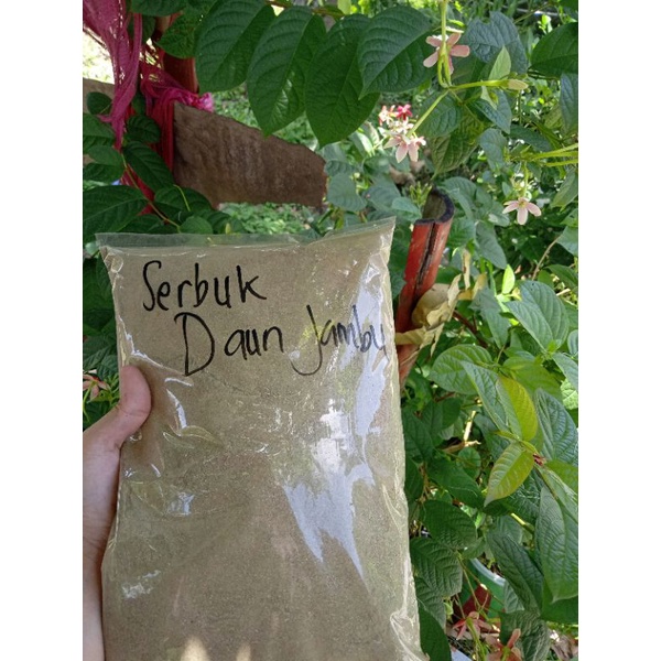 

Bubuk/Serbuk daun jambu biji kemasan 100gr