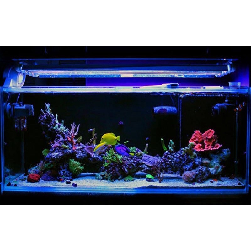 Lampu Tanning Progres Aquarium ikan / Lampu Aquarium Aquascape LED Tanning Arwana Super Hemat Listrik /  Lampu Tanning Akuarium Ikan Louhan Arwana