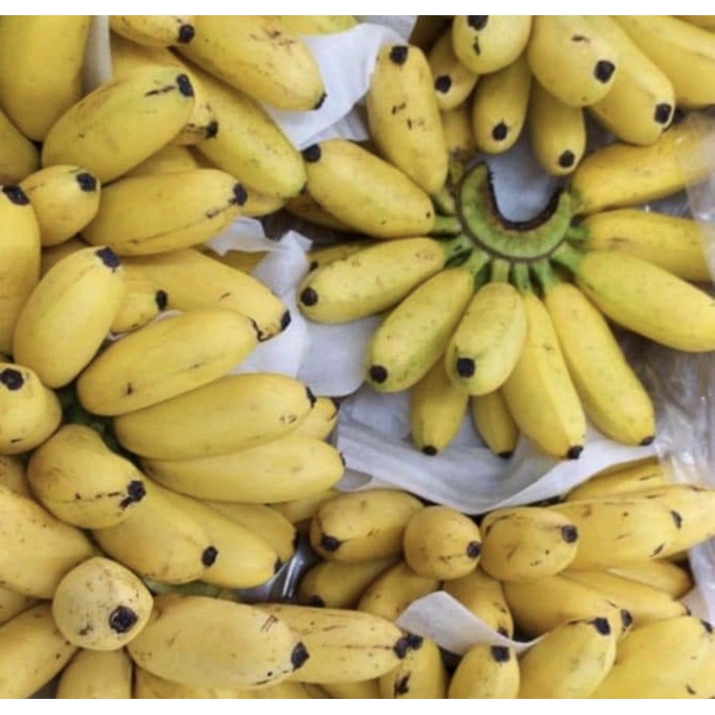 

SayurHD Buah Segar Pisang Mas Emas 1 Sisir Manis Makanan Anak Bayi