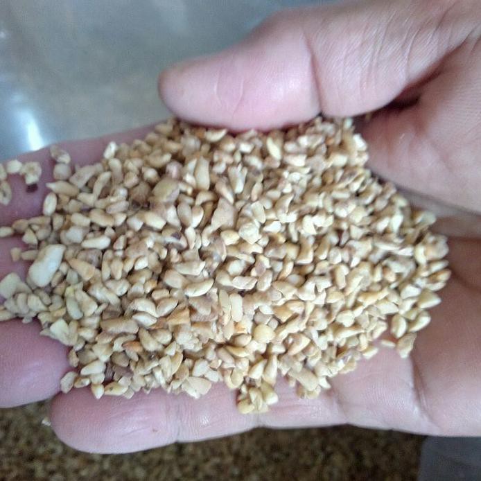 

HOT !! KACANG METE MENTAH MENIR BABYBIT JAKARTA