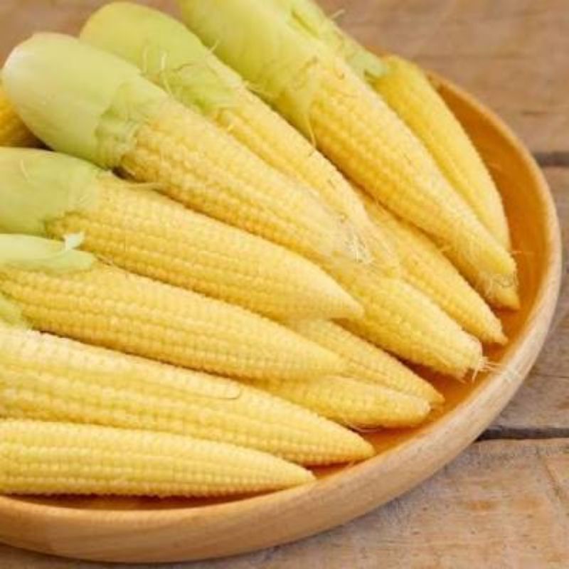 

Baby Corn 250gr - 500gr | Putren | Jagung Muda | naga_exspress