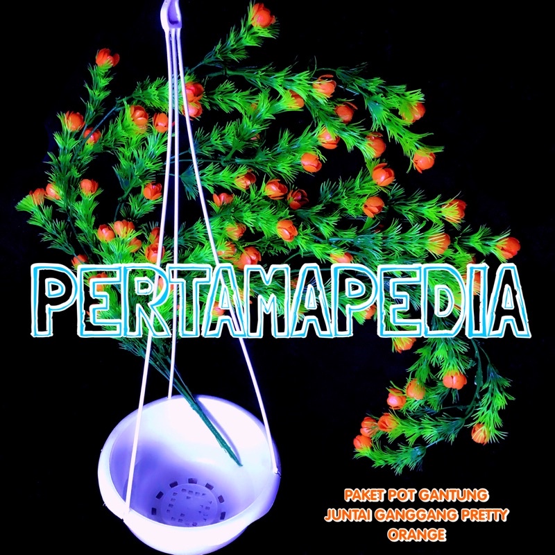 PAKET JUNTAI GANGGANG PRETTY PRITI+POT GANTUNG/Bunga Plastik/Daun Rambat Plastik/Busa Bunga/Dekorasi-POTGANT+GGPRETYOREN