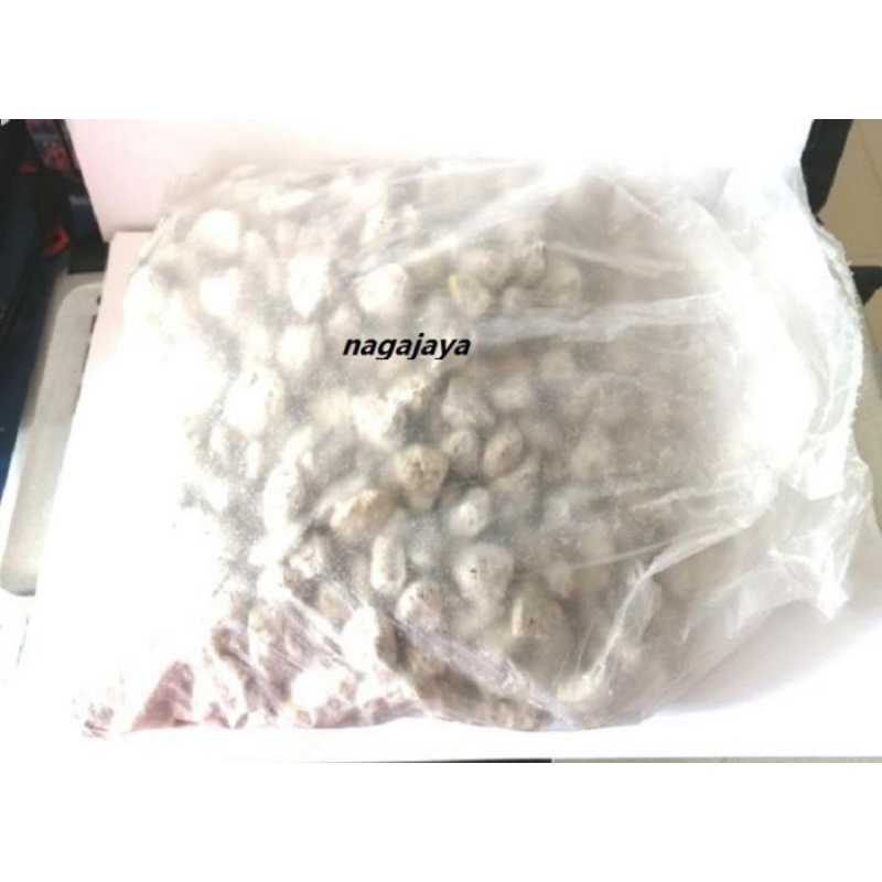 Jual Prime basic media filter aquarium rumah bakteri alami batu apung