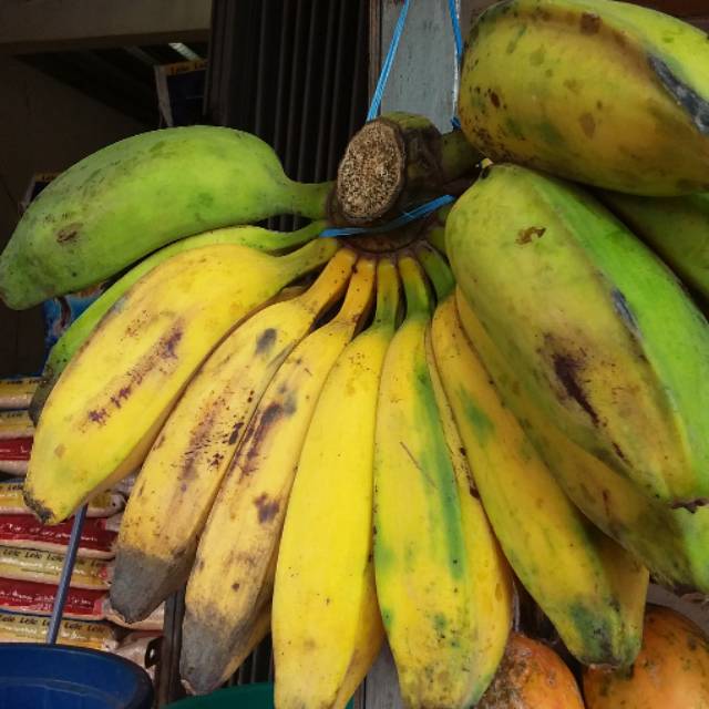 

Pisang Kepok Ganda Segar dan Sehat per Sisir Rp. 25.000