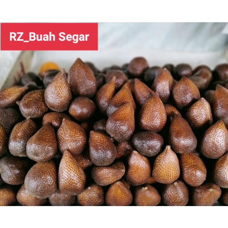 

Buah Salak Pondoh