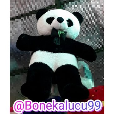 boneka panda super jumbo ukuran 2 meter Bagus