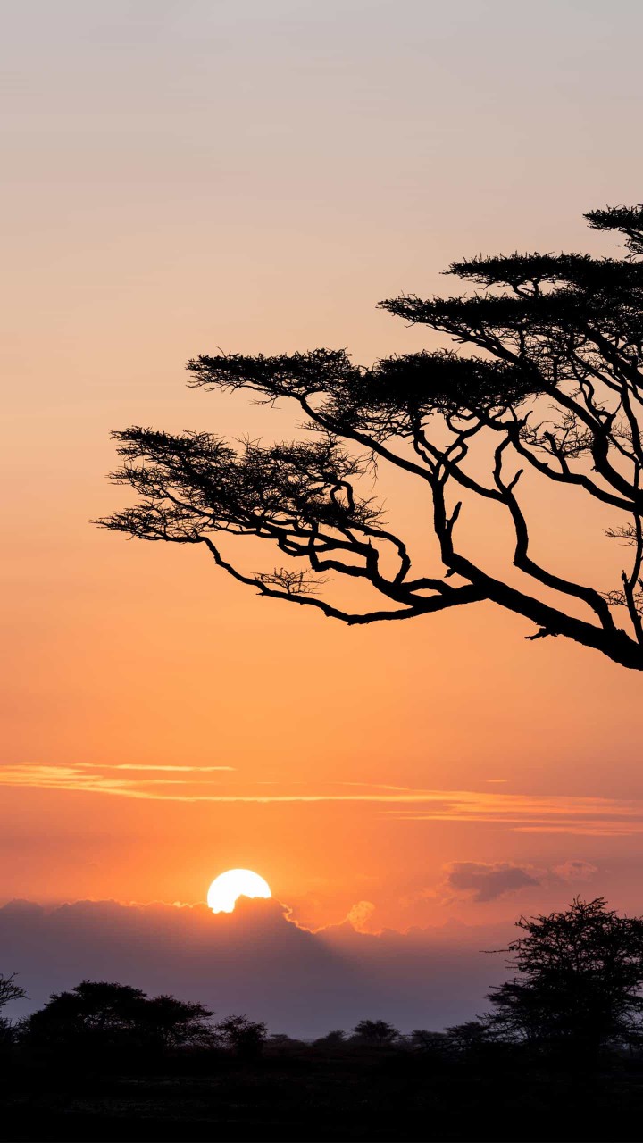 Batik Couple Keluarga - Batik Sarimbit Gamis Familly Set