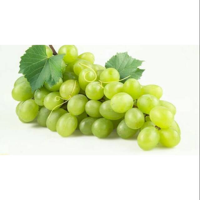 

Anggur hijau isi 1 kg