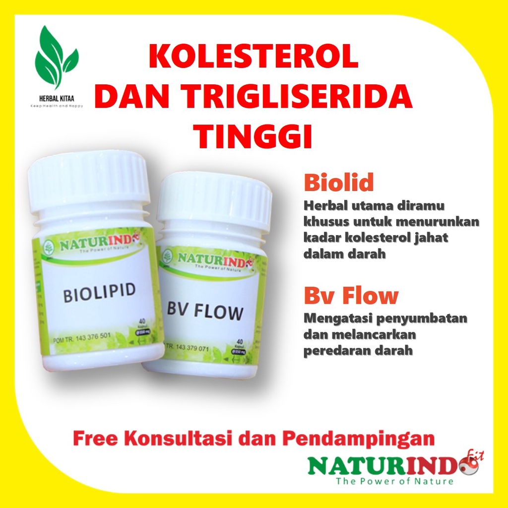 Biolipid Obat Herbal Kolesterol Menghancurkan lemak jahat melancarkan aliran darah Naturindo-Trigliserida