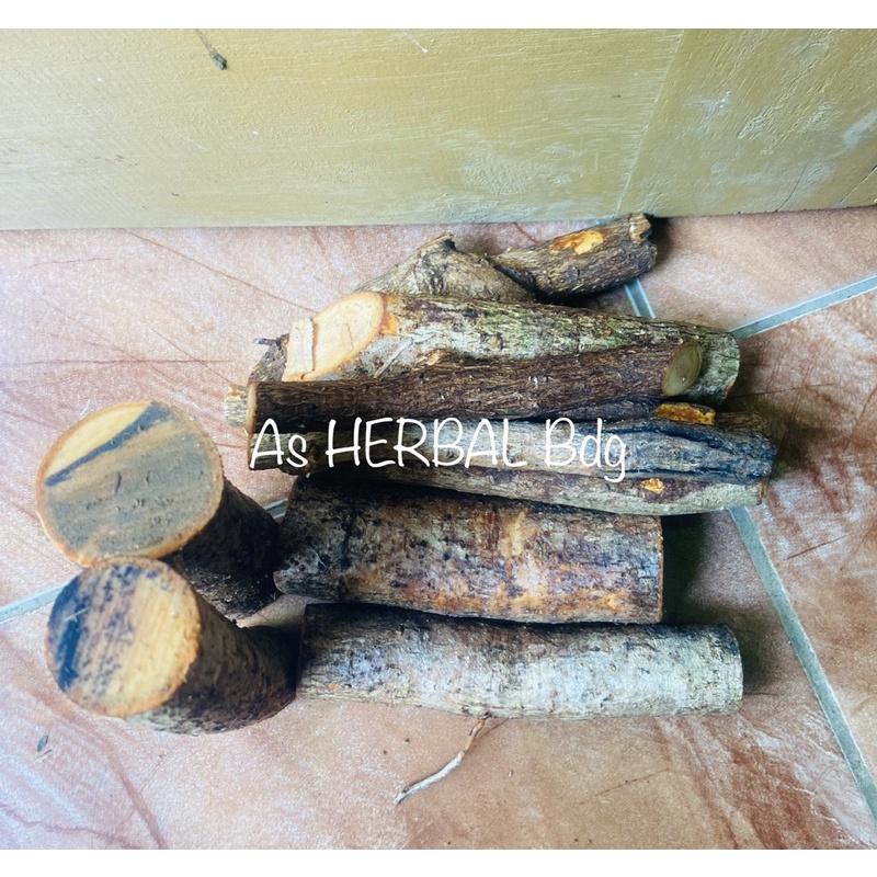 

Akar pohon alpukat / akar alpukat segar 250 gram-az