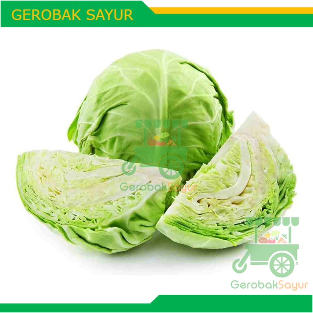 

Sayur Kol 500 g - 800 g