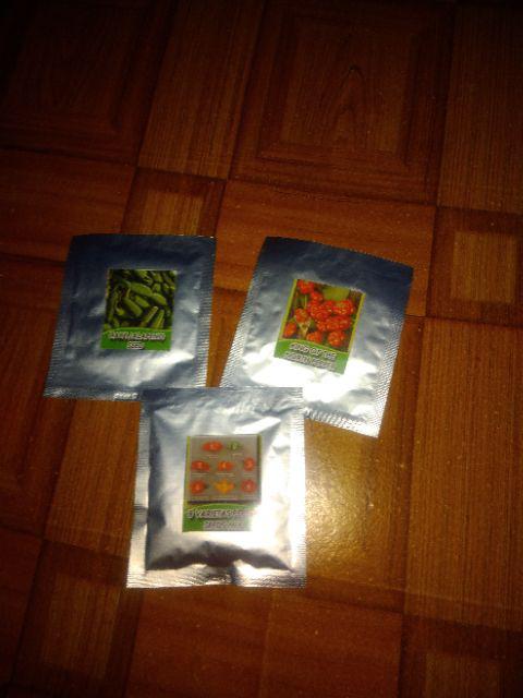 Biji Cabe king Of The North Pepper Seeds