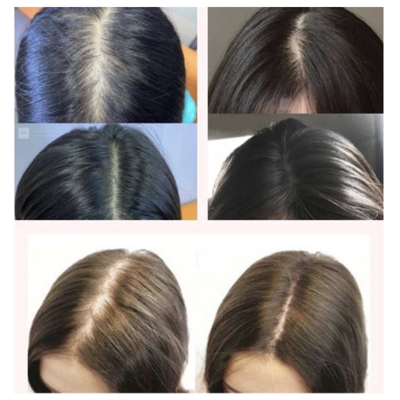 SHAMPO 650 ML CAMELLIA JEPANG/ Sampo Penumbuh rambut jepang / SHAMPO MEMANJANGKAN RAMBUT