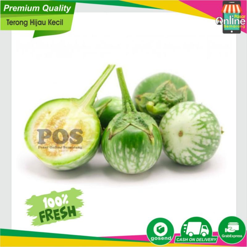 

Terong Lalap / Terong Bulat / Terong Kecil Fresh dan Segar / Jual Sayur Semarang Murah