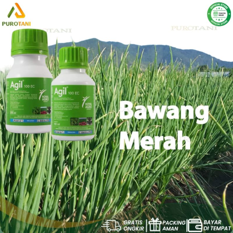 Obat rumput herbisida sistemik AGIL 100ec 100ml