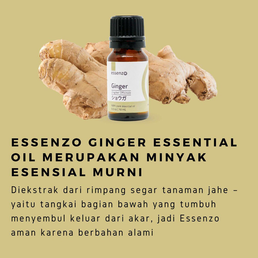 minyak jahe (pereda asma)