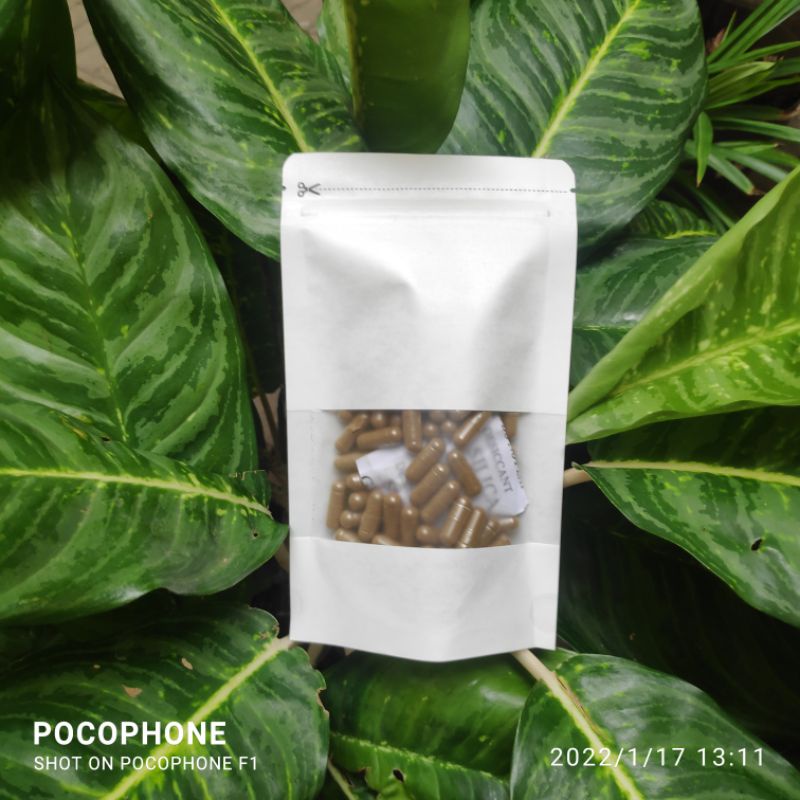 

120 Kapsul Herbal Fang Feng / Siler 防風
